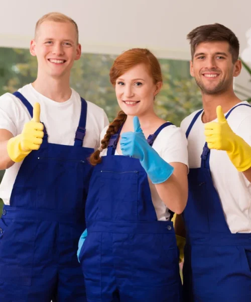 All Types of Cleaning