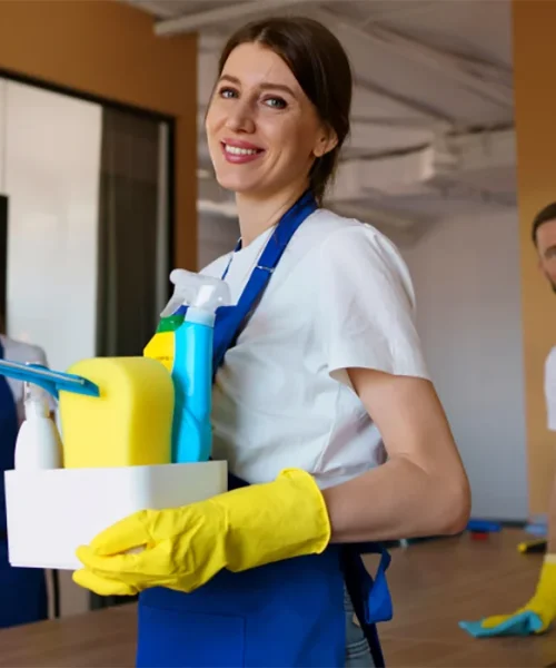 Whole House Cleaning - app for cleaning services